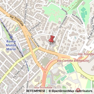 Mappa Via Giuseppe Taverna, 28, 00135 Roma, Roma (Lazio)