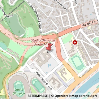Mappa Piazzale della Farnesina, 1, 00135 Roma, Roma (Lazio)