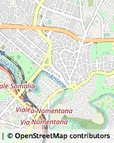 Viale Tirreno, 187,00141Roma