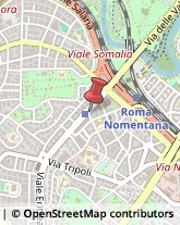 Viale Libia, 158,00199Roma