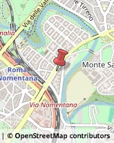 Via Nomentana, 348,00141Roma