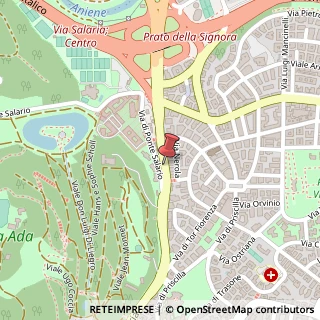 Mappa Via Salaria,  464, 00199 Roma, Roma (Lazio)