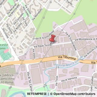 Mappa Via Pieve Torina, 65, 00156 Roma, Roma (Lazio)