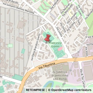 Mappa Via Giuseppe Rosaccio, 103, 00156 Roma, Roma (Lazio)