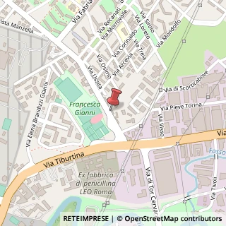 Mappa Via del Casale di San Basilio, 221, 00156 Roma, Roma (Lazio)