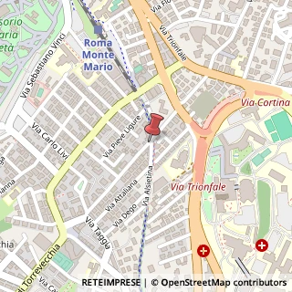 Mappa Via dell'Acquedotto Paolo, 95, 00168 Roma, Roma (Lazio)