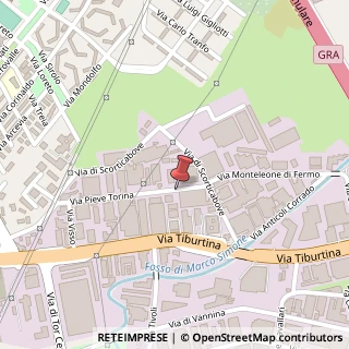 Mappa Via Pieve Torina, 80, 00156 Roma, Roma (Lazio)