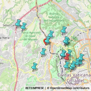 Mappa Via Carlo Livi, 00168 Roma RM, Italia (2.53263)