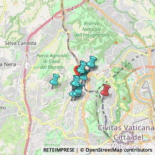 Mappa Via Carlo Livi, 00168 Roma RM, Italia (0.90308)