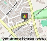 Articoli per Ortopedia Roma,00135Roma