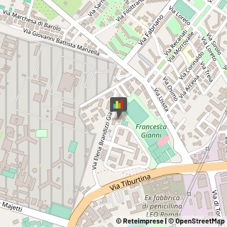 Scuole Pubbliche,00156Roma