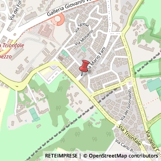 Mappa Via Mario Fani, 24, 00135 Roma, Roma (Lazio)
