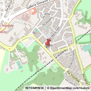 Mappa Via Trionfale, 7032, 00135 Roma, Roma (Lazio)