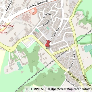 Mappa Via Trionfale, 7036, 00135 Roma, Roma (Lazio)