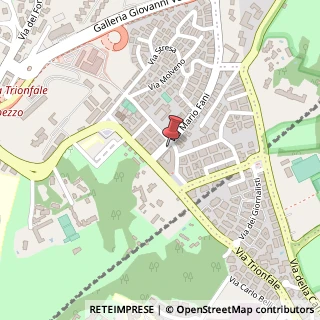 Mappa Via Mario Fani, 34, 00135 Roma, Roma (Lazio)