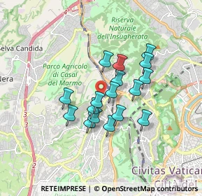 Mappa Via Andrea Verga, 00168 Roma RM, Italia (1.37412)
