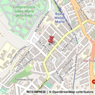 Mappa Via Alessandro Solivetti, 11, 00168 Roma, Roma (Lazio)