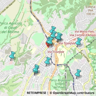 Mappa Via Vado Ligure, 00168 Roma RM, Italia (0.93333)
