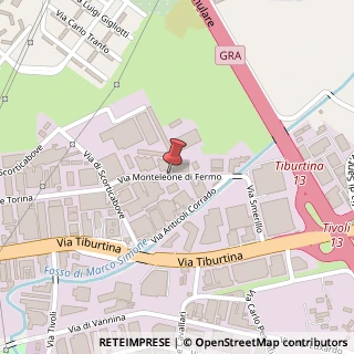 Mappa Via Monteleone di Fermo, 31-37, 00156 Roma, Roma (Lazio)