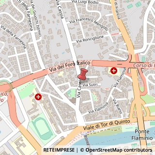Mappa Via Cassia, 36, 00191 Roma, Roma (Lazio)