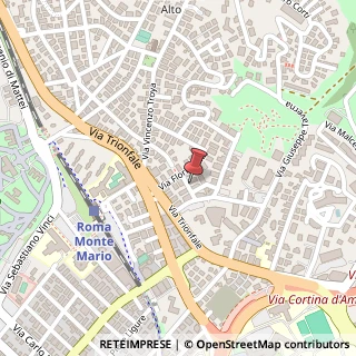 Mappa Via Giovanni Marchesini, 13, 00135 Roma, Roma (Lazio)