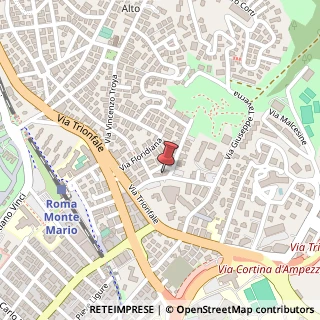 Mappa Via Giuseppe Allievo, 37, 00135 Roma, Roma (Lazio)