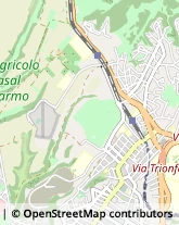 Via Castel di Guido, 541,00166Roma