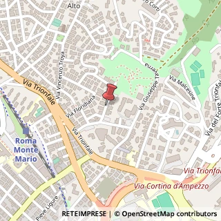 Mappa Via Giuseppe Allievo, 75, 00135 Roma, Roma (Lazio)