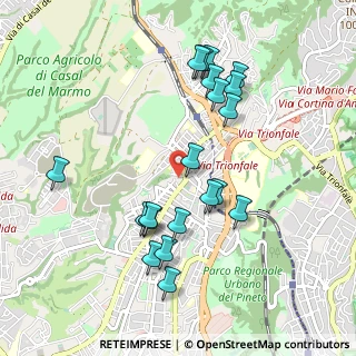 Mappa Via Vezzano Ligure, 00168 Roma RM, Italia (1.028)