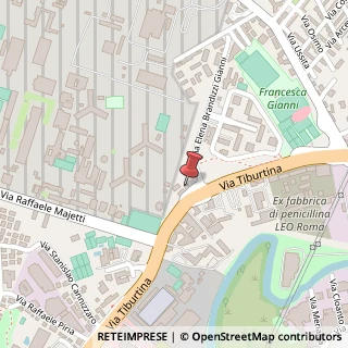 Mappa Via Padre Lino da Parma, 13, 00156 Roma, Roma (Lazio)