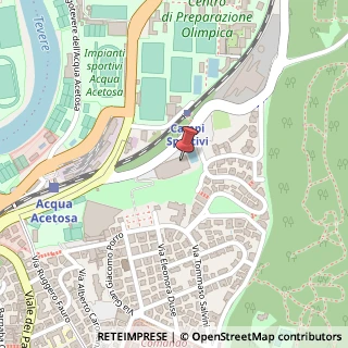 Mappa Viale della Moschea, 130, 00197 Roma, Roma (Lazio)