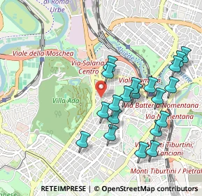 Mappa Via di Tor Fiorenza, 00199 Roma RM, Italia (1.025)