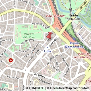 Mappa Via Amatrice, 24, 00199 Roma, Roma (Lazio)
