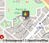 Otorinolaringoiatria - Medici Specialisti Roma,00199Roma