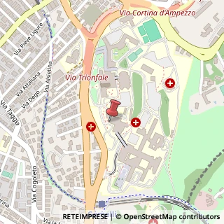 Mappa Largo Agostino Gemelli, 8, 00136 Roma, Roma (Lazio)