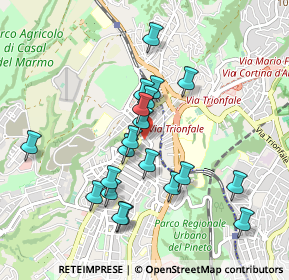 Mappa Via Moneglia, 00168 Roma RM, Italia (0.91)