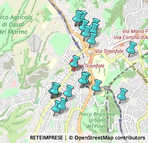 Mappa Via Moneglia, 00168 Roma RM, Italia (1.005)