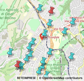 Mappa Via Moneglia, 00168 Roma RM, Italia (1.335)