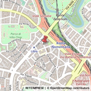 Mappa Via Lago Tana,  53, 00199 Roma, Roma (Lazio)