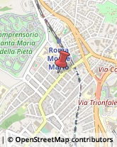 Via Carlo Francesco Bellingeri, 5/5/A,00100Roma