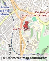 Largo Francesco Vito, 1,00168Roma