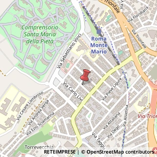 Mappa Via Alessandro Solivetti, 16/B, 00168 Roma, Roma (Lazio)