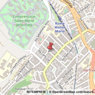 Mappa Via Alessandro Solivetti, 13, 00168 Roma, Roma (Lazio)