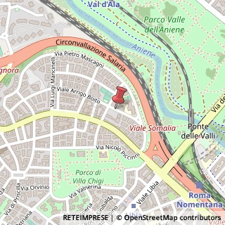 Mappa Viale Arrigo Boito,  133, 00199 Roma, Roma (Lazio)