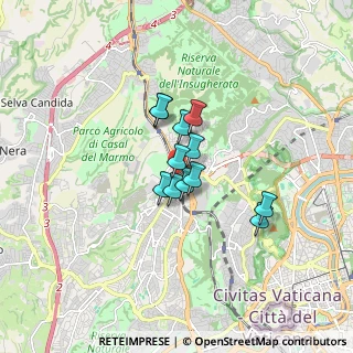 Mappa Torrevecchia, 00168 Roma RM, Italia (1.09833)