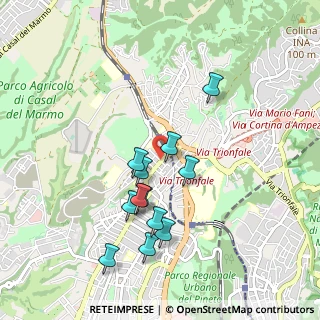 Mappa Torrevecchia, 00168 Roma RM, Italia (0.92167)