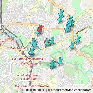Mappa Piazza Vulture, 00144 Monterotondo RM, Italia (1.024)