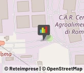 Frutta e Verdura - Dettaglio,00012Roma