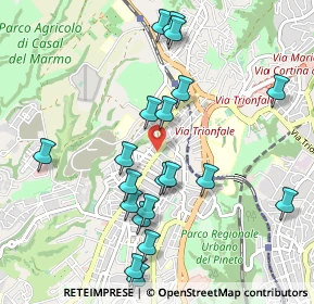 Mappa Via Vittorio Marchi, 00168 Roma RM, Italia (1.1065)