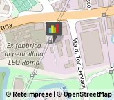 Motori Elettrici e Componenti,00156Roma